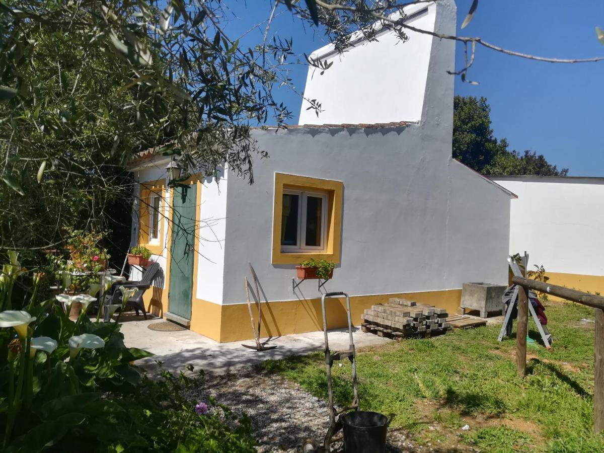 Studio with Garden View,1381659884:JPEG